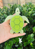 Turtle🐢