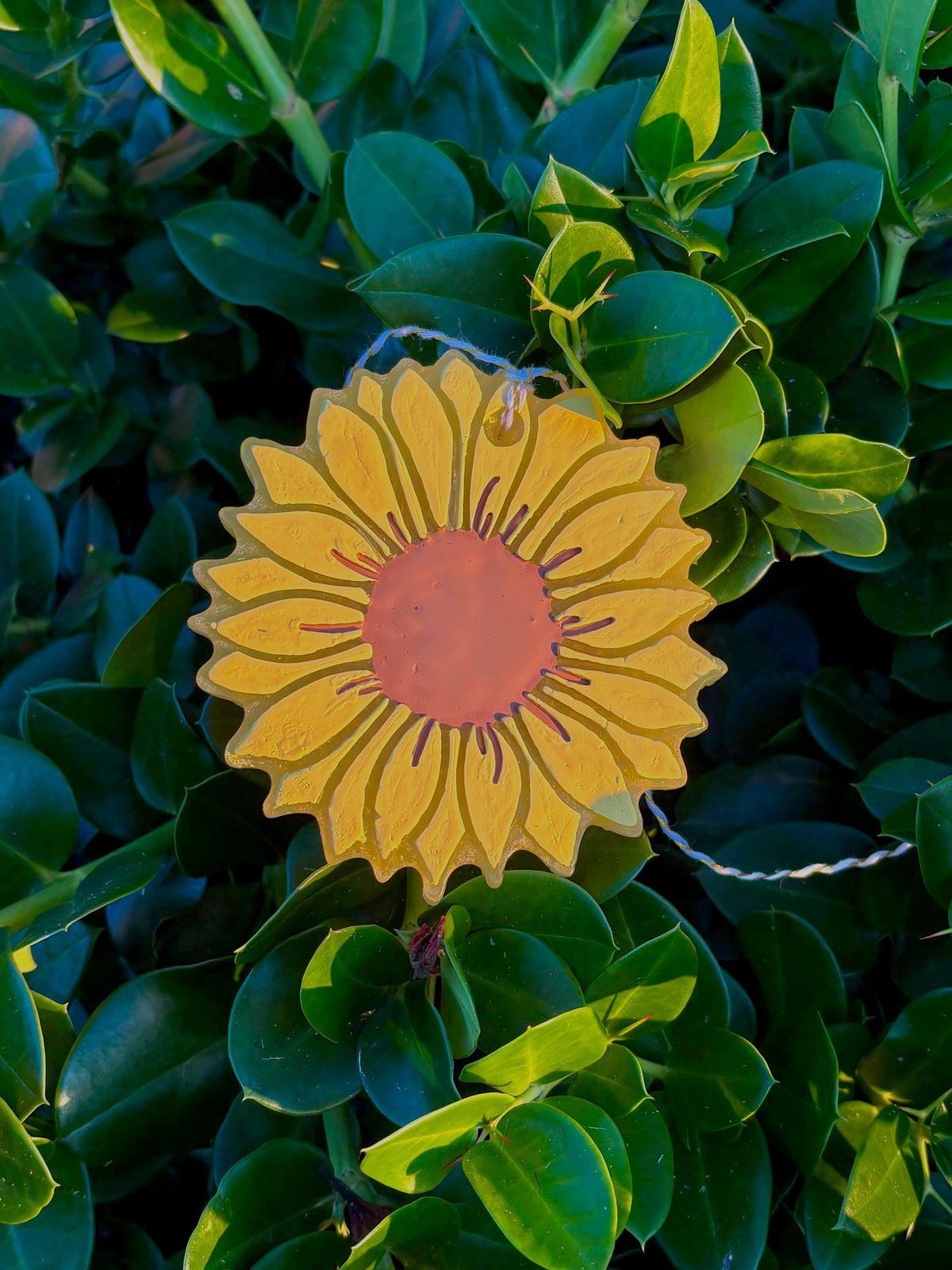 Sunflower🌻