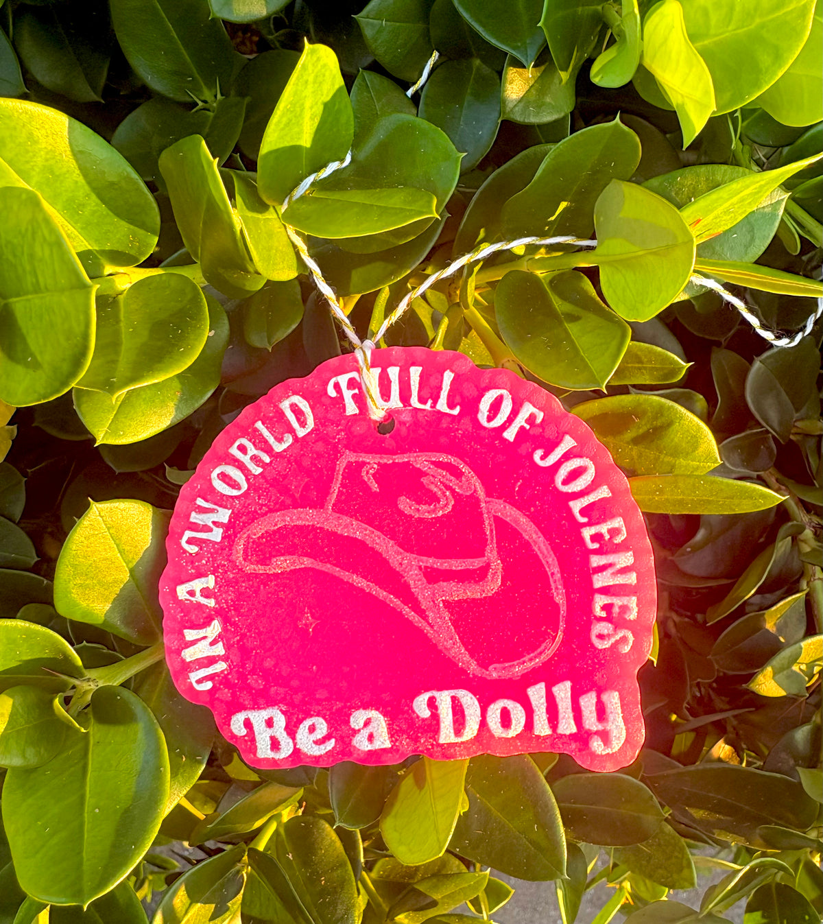 Be a Dolly🩷