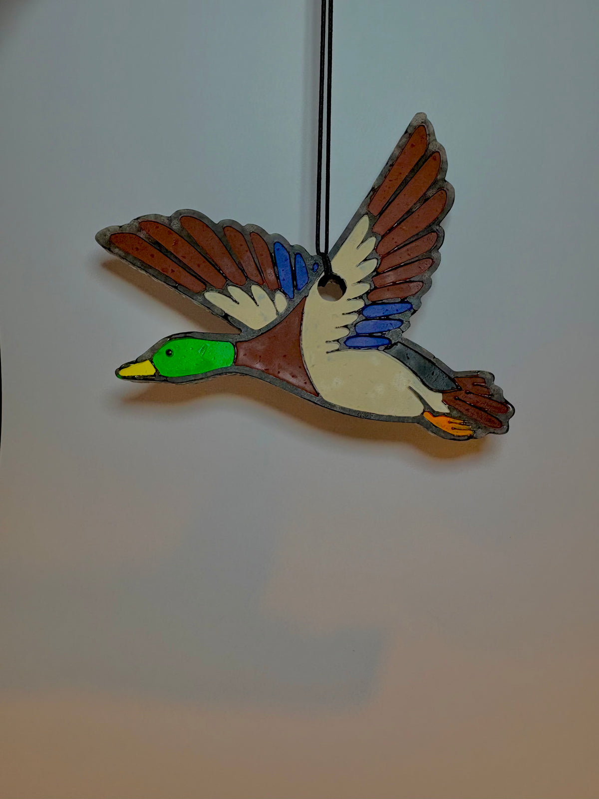 Mallard Duck